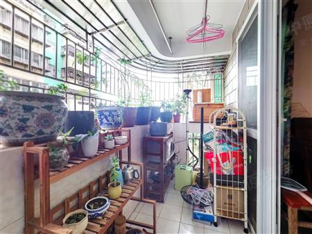 赛普振华苑-阳台