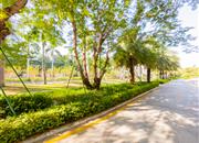 海上世界双玺花园一期-环境绿化