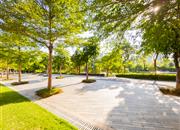 海上世界双玺花园一期-环境绿化