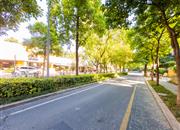 龟山别墅-环境绿化