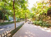 龟山别墅-环境绿化