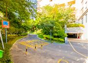 鲸山觐海-环境绿化