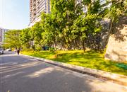 鲸山觐海-环境绿化