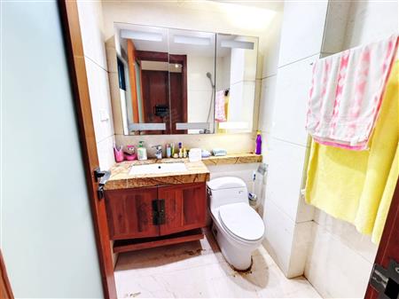 中信红树湾花城北区-卫生间