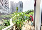 中信红树湾花城北区-阳台