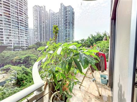 中信红树湾花城北区-阳台