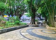 防疫住宅楼-环境绿化