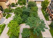 和成嘉业名园-环境绿化