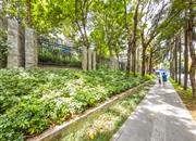 龟山小筑-环境绿化