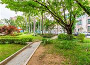 莲花一村-环境绿化