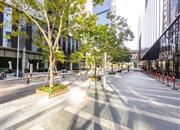 招商中环-环境绿化