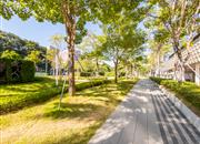 招商中环-环境绿化