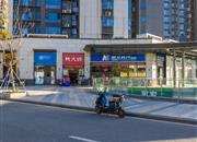 博林君瑞-环境绿化