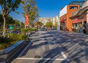 博林君瑞-环境绿化