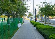 会展湾水岸广场-环境绿化