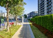 会展湾水岸广场-环境绿化