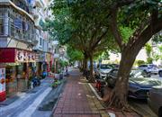 南油单身宿舍-环境绿化