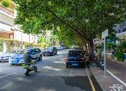 南油单身宿舍-环境绿化