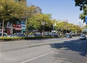 同创华著公馆-环境绿化