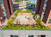 传麒东湖名苑-环境绿化