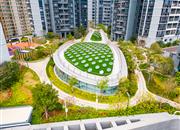 京基水贝时代广场-环境绿化