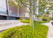 京基水贝时代广场-环境绿化