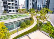 京基水贝时代广场-环境绿化