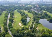 观澜湖科创公寓-环境绿化