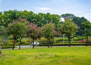 观澜湖科创公寓-环境绿化