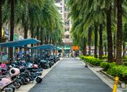 万科天誉花园（一期）-环境绿化