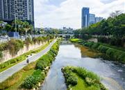 万科时代广场（商办)-环境绿化