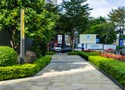 万科时代广场（商办)-环境绿化