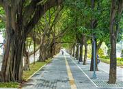 万科时代广场（商办)-环境绿化