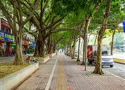 和兴花园一期(和兴苑)-环境绿化