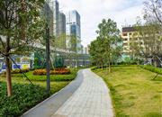 仁恒公园世纪（一期）-环境绿化