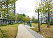 仁恒公园世纪（一期）-环境绿化