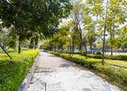 君胜熙珑山花园-环境绿化