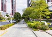 深房传麒尚林（二期）-环境绿化