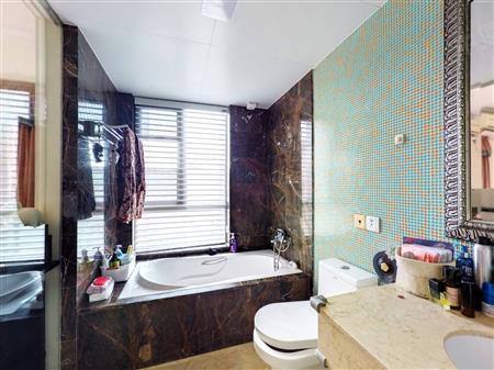 星河丹堤花园-卫生间