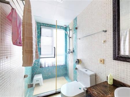 星河丹堤花园-卫生间