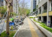 仁恒梦公园-环境绿化