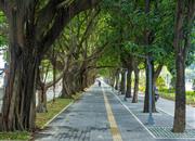 万汇大厦-环境绿化