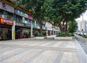 万科天誉花园（二期商办)-环境绿化