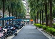 万科天誉花园（二期商办)-环境绿化