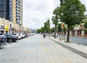 颐安都会中央花园（三期）-环境绿化