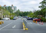 远洋新天地家园-环境绿化