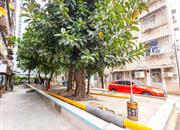 竹边新村-环境绿化