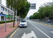 中骏云景府-环境绿化