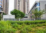 中骏云景府-环境绿化