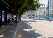 凯旋天玺名庭（凯旋TRC）-环境绿化